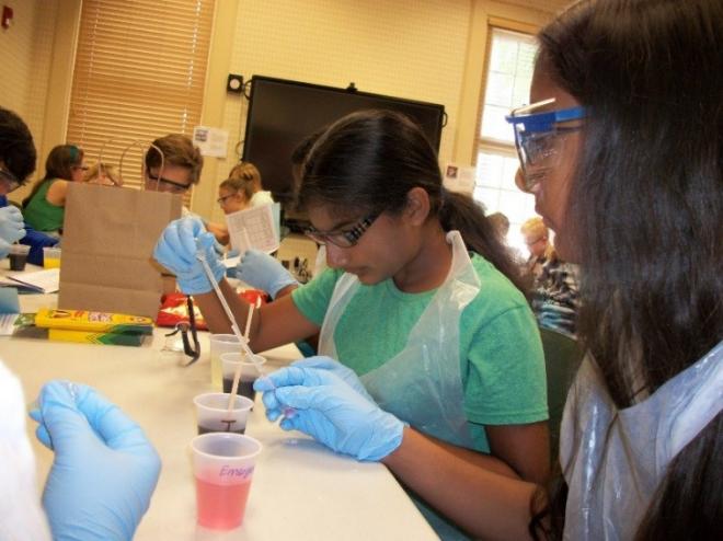 Science in Summer student activity