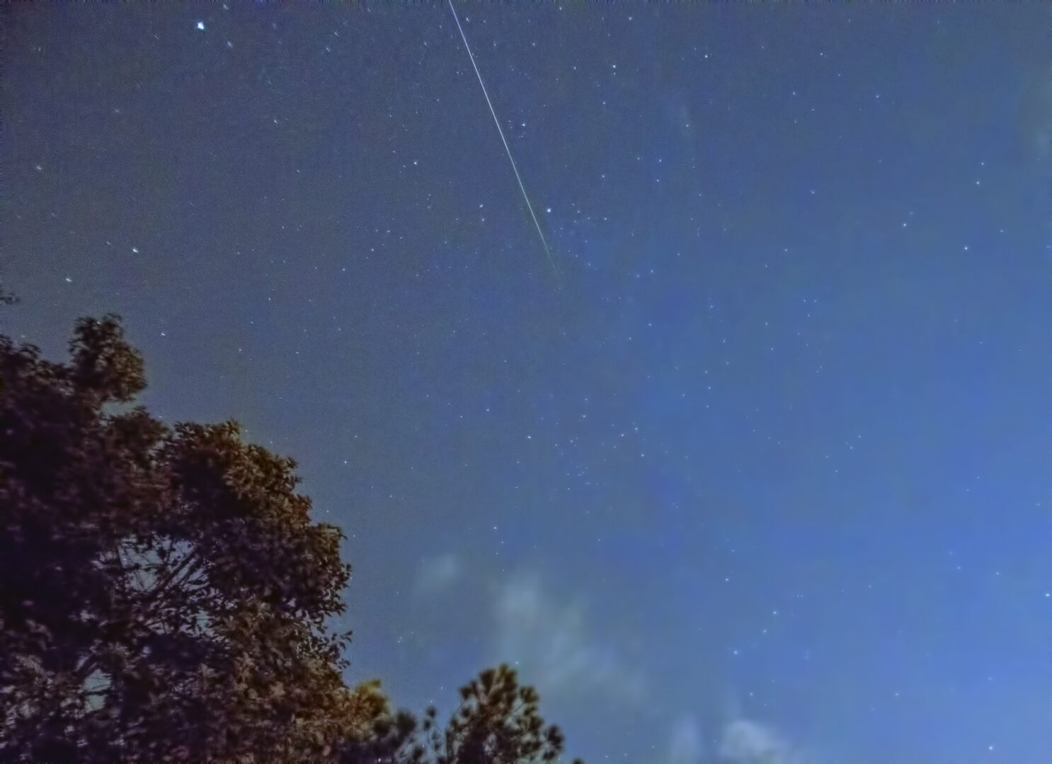 How to view the 2022 Perseid meteor shower Morehead and