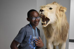 boy and lion at the museum