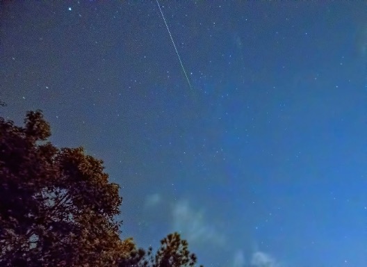 A Perseid meteor