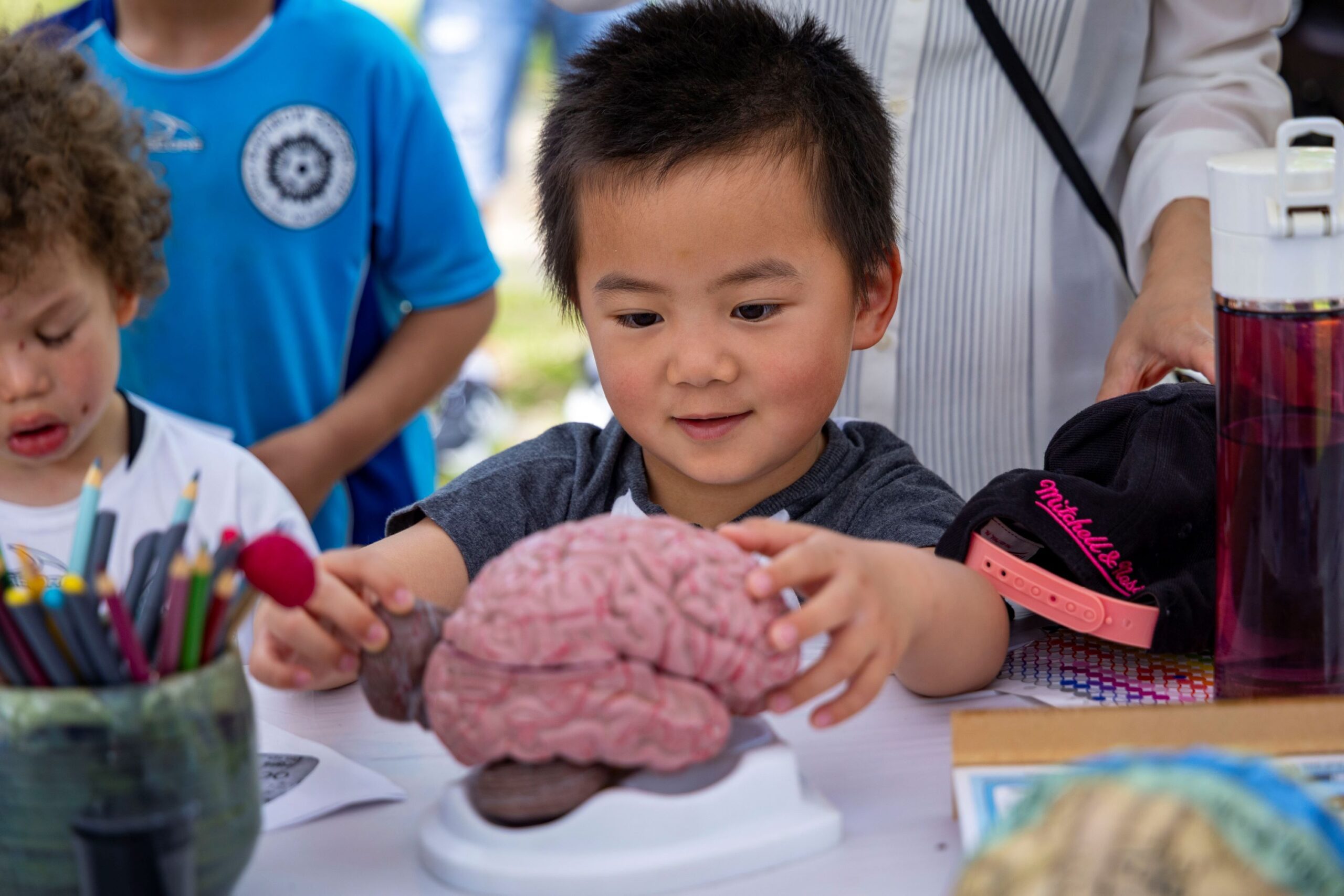 A child interacts with a prosthetic brain at a booth.
