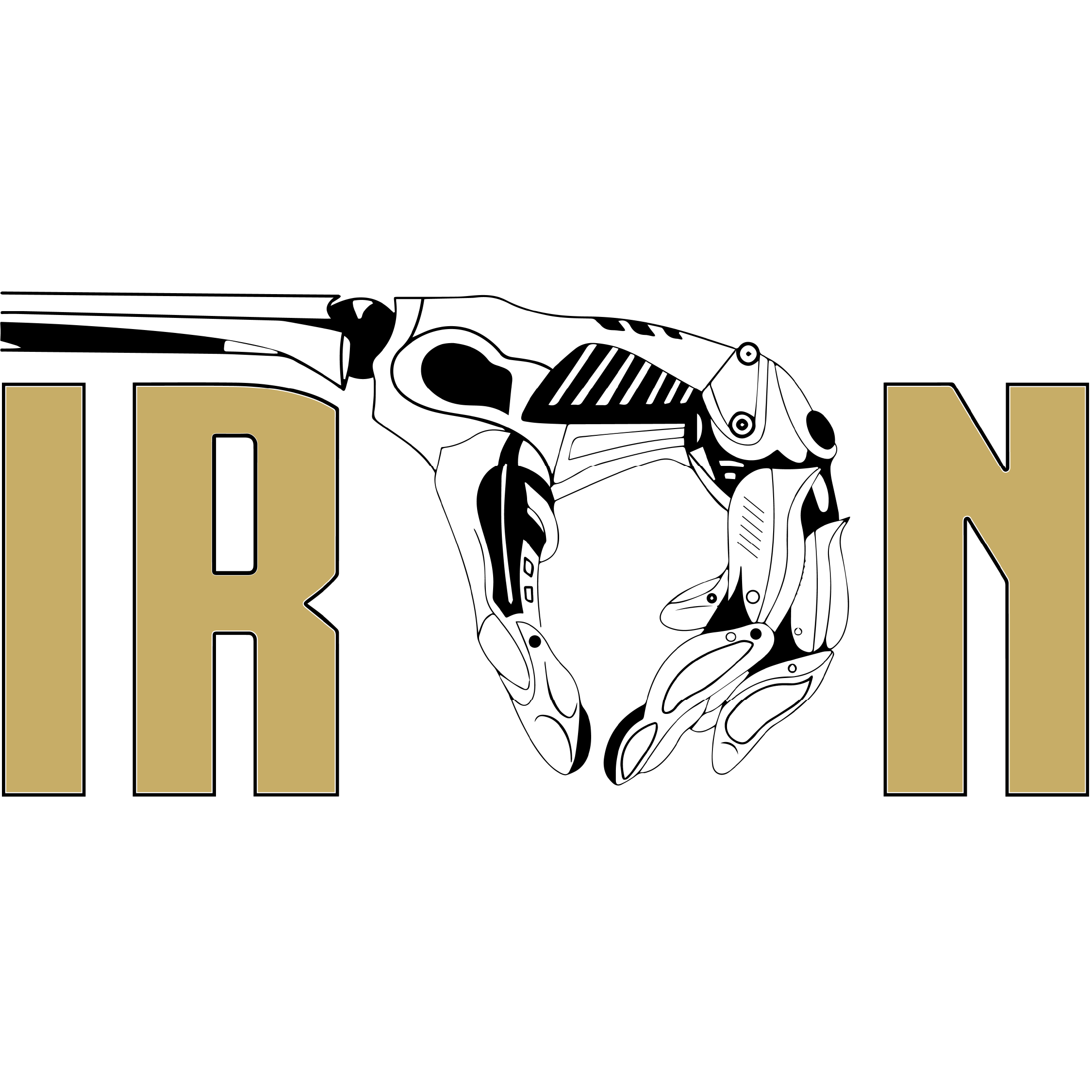 The Interactive Robotics and Novel Technologies (IRON) Lab logo.