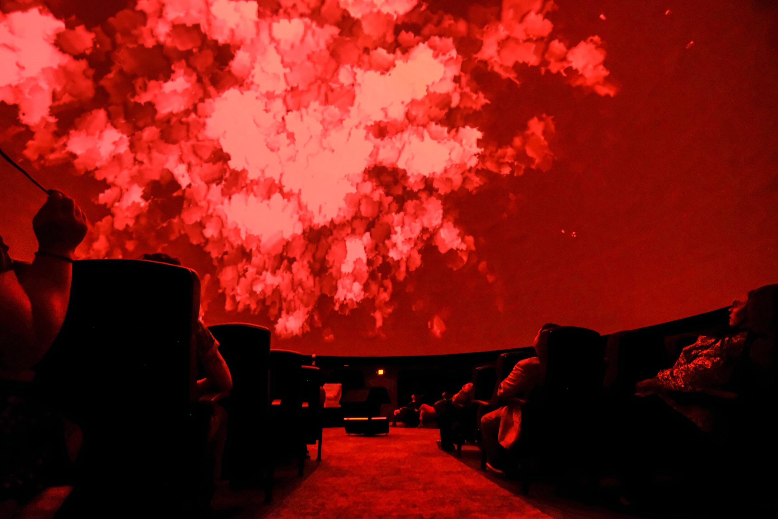Red cells projected on the planetarium dome.