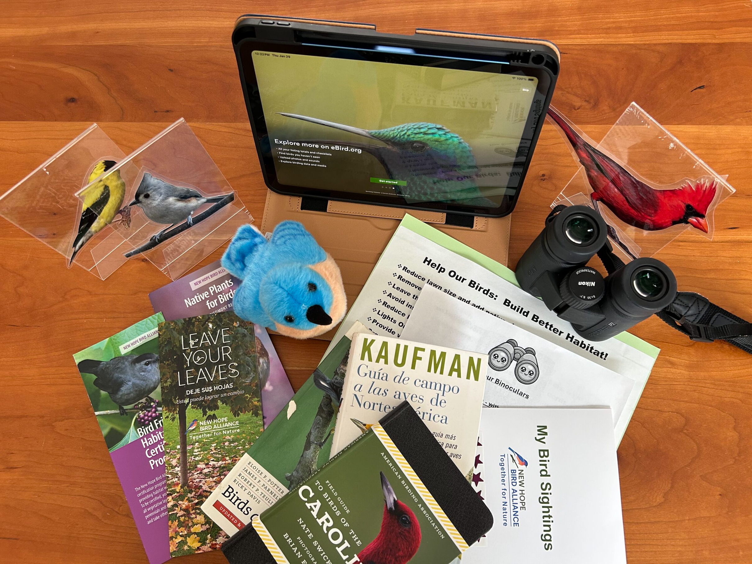 Brochures, a bird plushie, a tablet, and bird artwork on a table.